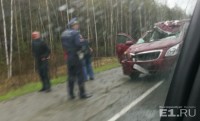 У машины снесло полкрыши: на Серовской трассе легковушка сбила лося (фото)