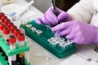 В Нижнем Тагиле за сутки подтверждено четыре новых случая заражения коронавирусом