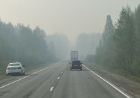 В 26 раз больше, чем в прошлом году: Свердловская область вошла в антирейтинг по выгоревшему лесу