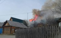 В Черноисточинске загорелся лес из-за поджога детьми сухой травы (фото, видео)
