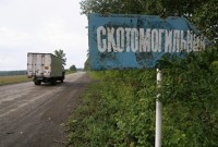 В Свердловской области 72 могильника с сибирской язвой, из них «благоустроенных» лишь 41 захоронений. Часть даже не имеют точных границ