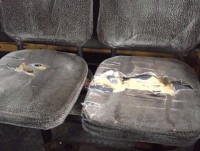 Рваные сиденья и грязь в салоне: жители Нижнего Тагила жалуются на маршрутки (фото)