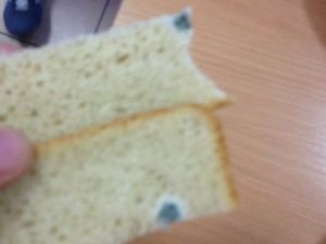 Хлеб с плесенью подали на обед учащимся в школе №7 Нижнего Тагила