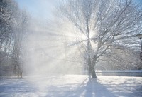 До -38 градусов: уральские синоптики предупредили о морозе на Новый год