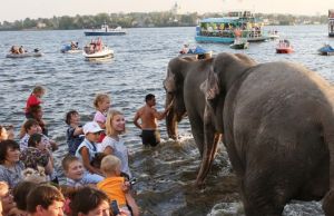 В Нижнем Тагиле прошло купание слонов в пруду (фото, видео)
