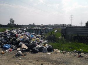 Зловоние и мухи – в селе Покровское два месяца не вывозят мусор (фото)