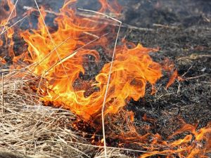 21 раз выезжали пожарные Нижнего Тагила на тушение сухой травы