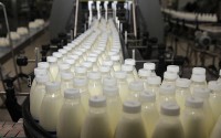 Свердловский молочный завод хотят обанкротить