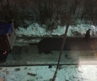 Чтобы успеть до зимы: в Нижнем Тагиле укладывают асфальт по ночам при минусовой температуре, а плитку кладут прямо в снег