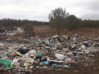 Администрация пригорода и лесничество перекладывают друг на друга ответственность за уборку свалки вдоль трассы Нижний Тагил-Алапаевск. Тем временем мусорка разрастается (фото)