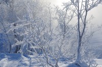 На Урал идут морозы и снегопады, но сначала потеплеет до -10