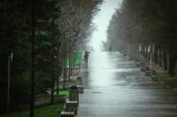 Синоптики предупредили о сильных ливнях в Свердловской области
