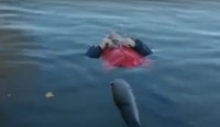 Из Тагильского пруда достали мертвого мужчину (видео)