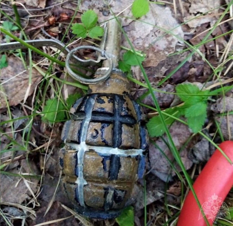 В Нижнем Тагиле подростки нашли гранату в водоёме