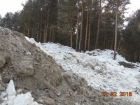 Директору «УБТ-Сервис» Александру Рощупкину внесено представление из-за многочисленных нарушений при складировании «соленого» снега в лесу (фото)