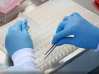 В Свердловской области на 19 августа +147 новых случаев коронавируса. В Нижнем Тагиле +4 заболевших