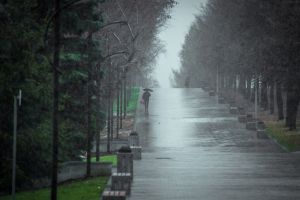 Дождливо и промозгло: бабье лето на Урал не вернётся