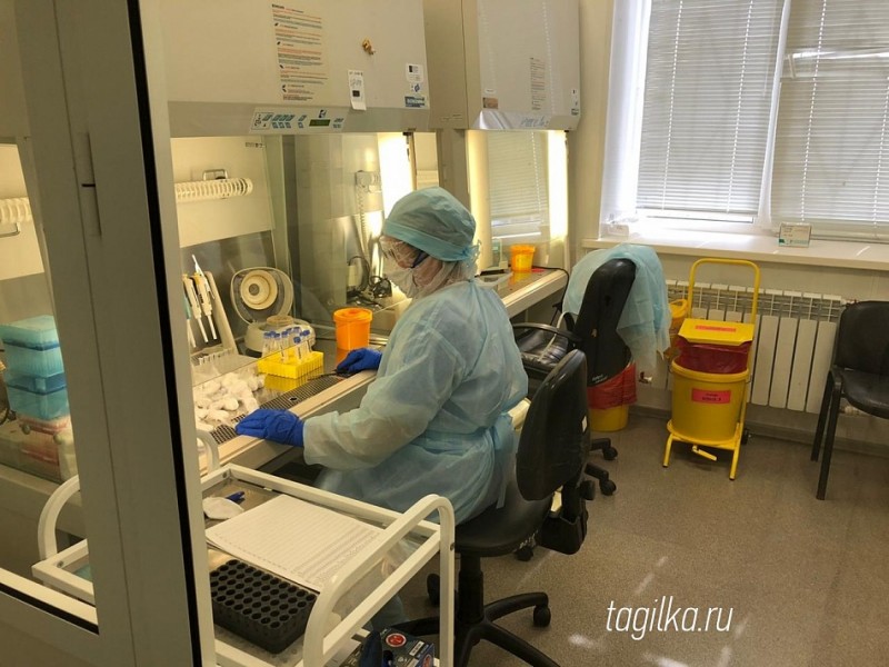 1 тест на 139 человек: стало известно, сколько анализов на коронавирус сделали в Свердловской области и в Нижнем Тагиле