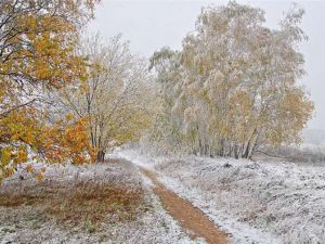Снежный покров на Среднем Урале может установиться уже на следующей неделе