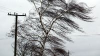 Экстренное предупреждение о сильном ветре поступило в Нижний Тагил