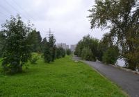 Снять штаны в кустах за 500 рублей: мужчина домогался подростка в Верхневыйском парке