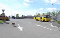 Рамки-металлоискатели и площадка для высадки пассажиров за территорией: автовокзал ждут мероприятия по усилению безопасности