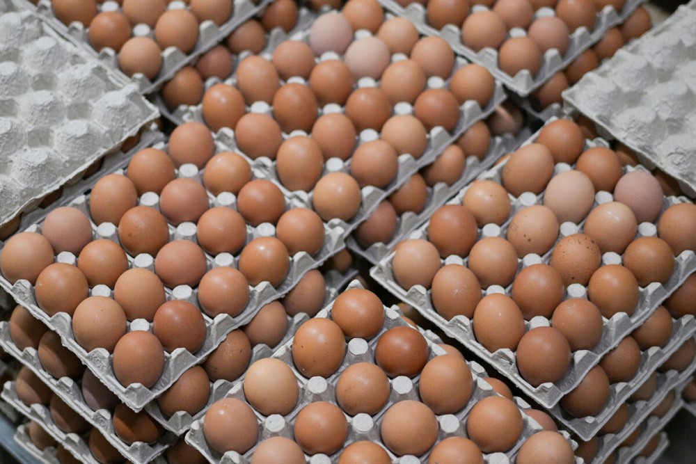 Депутат: производители начали отгружать яйца по 72 рубля