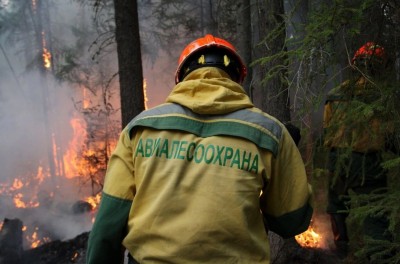 Власти: свердловские лесные пожарные обеспечены всем необходимым, забастовки не будет