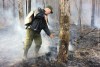 Прокурор разнёс подготовку к лесным пожарам в Свердловской области: документ
