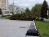 Областные власти не стали платить 1 млн за гибель тагильчанина из-за урагана. Суд согласился