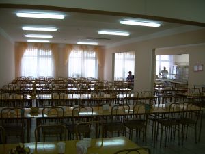 Суд приостановил деятельность столовой школы №9 до 9 ноября