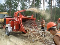Мэрия Нижнего Тагила приобретёт рубильную машину для утилизации древесины