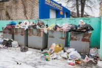 Тагильский общественник попросил депутатов Госдумы добиться расторжения контракта с компанией «Рифей» из-за высоких тарифов на вывоз мусора