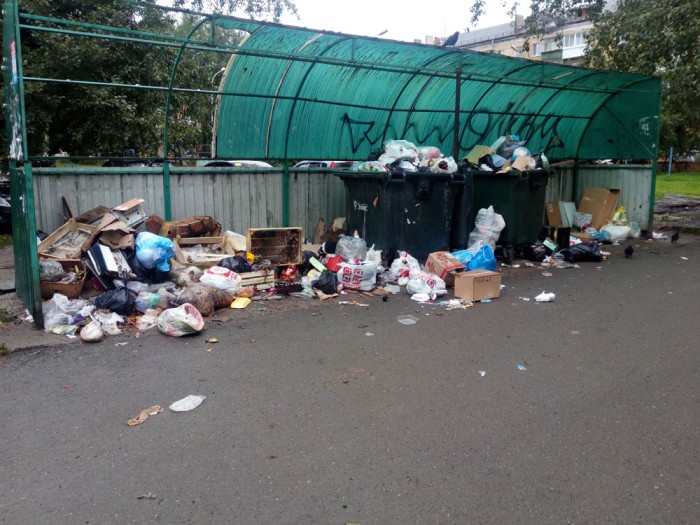«За всё это я плачу 850 рублей». Жители Нижнего Тагила жалуются на невывоз мусора из контейнеров и крыс «размером с кошку»
