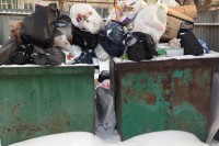 Блогер попросил ФАС проверить обоснованность тарифов на вывоз мусора для Нижнего Тагила. Тагильчане подсчитывают сколько заработает посредник «Рифей»