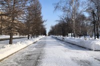Антициклон заблокировал поступление тёплого воздуха на Урал: прогноз синоптиков на неделю