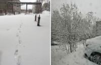В Свердловской области снова выпал снег: фото