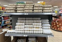 Свердловская область вывозит своё яйцо, а потребляет из других регионов