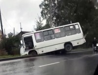 В Нижнем Тагиле рейсовый автобус съехал в кювет из-за выбежавшей на дорогу собаки (фото)