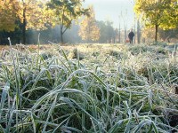 Уральские метеорологи предупредили о заморозках