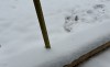 Майский снегопад в Свердловской области: где больше всего снега (список по городам)